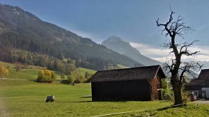 IMG_20151022_145354_hdr