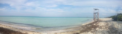 IMG_20160216_163950_panorama