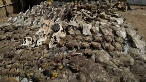 img_20161206_120129_hdr